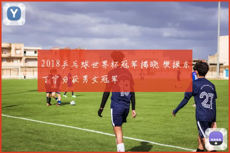 2018乒乓球世界杯冠军揭晓 樊振东丁宁分获男女冠军