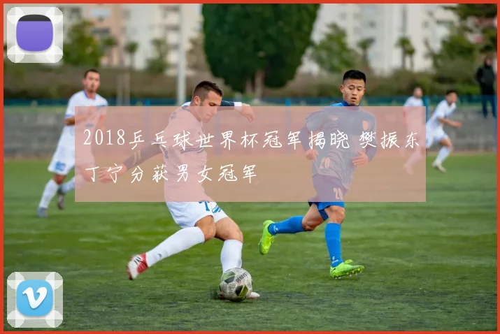 2018乒乓球世界杯冠军揭晓 樊振东丁宁分获男女冠军